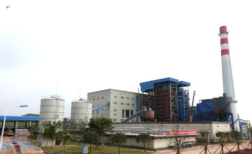 少妇BBB搡BBBB搡BBBB