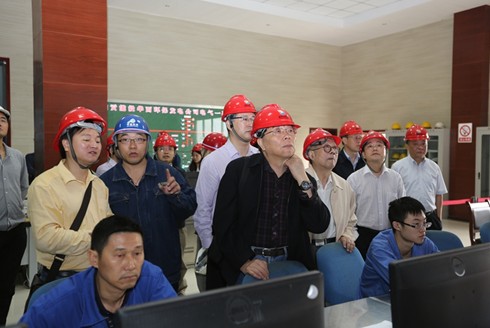 少妇BBB搡BBBB搡BBBB