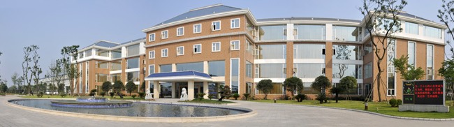 少妇BBB搡BBBB搡BBBB